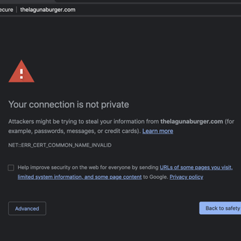 Laguna Burger - What i got when trying to order online. Careful with your credit cards - Burgers Near Me - Albuquerque, New Mexico