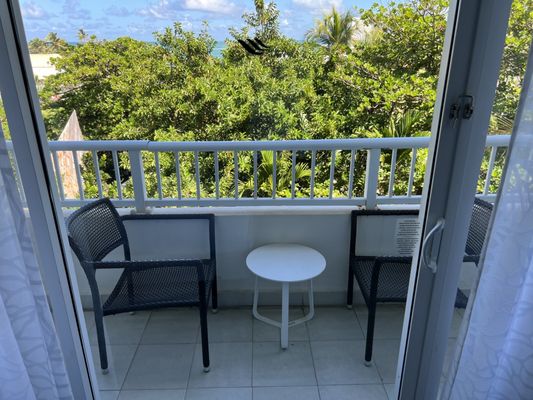 Caribe Hilton by null