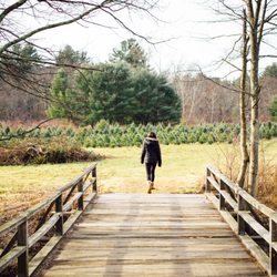 Maple Hollow Farm - Don't miss the field in the back, across the picturesque bridget.