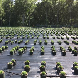 The Best 10 Nurseries Gardening In Merrimack Nh Updated Covid Nurseries Gardening In Merrimack Nh
