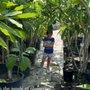 Photo of Williams St Nursery & Landscaping