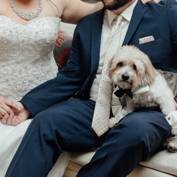 Marble Rye Photography - Really love this one - it looks like a magazine ad. Photo by Marble Rye Photography. - Event Photography Near Me Marble Rye Photography - Really love this one - it looks like a magazine ad. Photo by Marble Rye Photography. - Event Photography Near Me