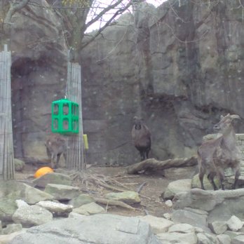 Akron Zoo - Zoos Near Me - Akron, Ohio