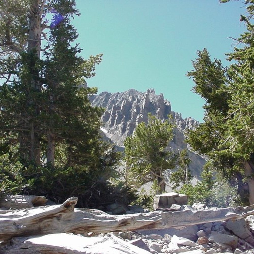 Great Basin National Park - Parks Near Me - Baker, Nevada