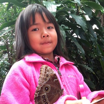 Butterfly Jungle - Jocelynn's new friend :-) - Zoos Near Me - Escondido, California
