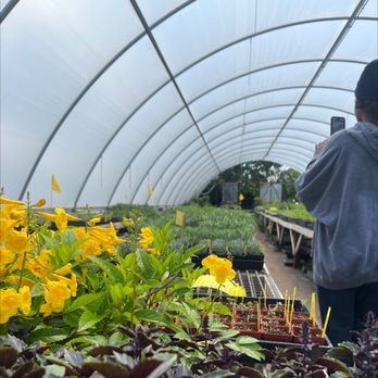 Morningsun Herb Farm - Nurseries & Gardening Near Me - Vacaville, California Morningsun Herb Farm - Nurseries & Gardening Near Me - Vacaville, California
