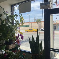 Manny's flowers