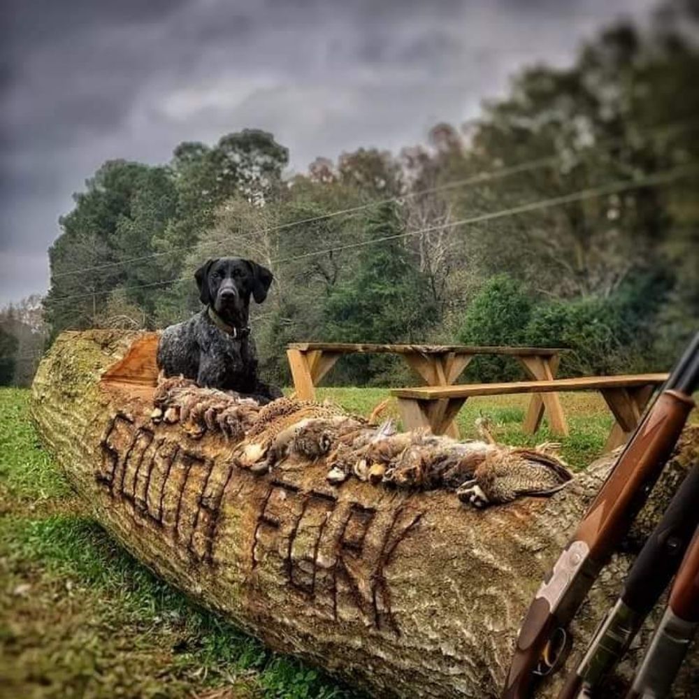 SOUTH FORK HUNTING PRESERVE Updated March 2024 44 Photos 685 Brays Lake Rd, Royston
