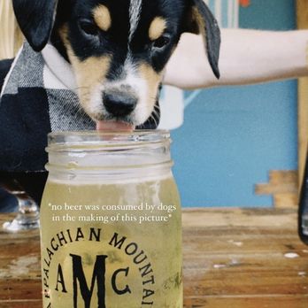 Appalachian Mountain Brewery - Cider - Bars Near Me - Boone, North Carolina