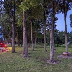 Mr G's Barn - Park area with seatings around the trees!
