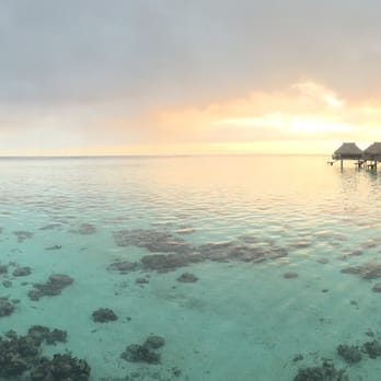 Your Gallivanting Guru - Hilton, Moorea - Travel Agents Near Me