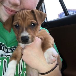 Say hi to Joey!