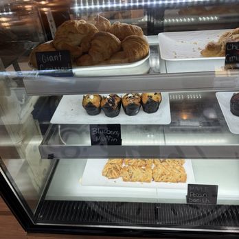 Circle House Coffee - Cafes Near Me - Fort Lauderdale, Florida Circle House Coffee - Cafes Near Me - Fort Lauderdale, Florida