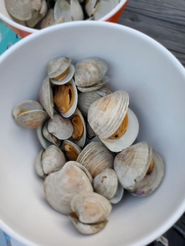 Food from Rockland Clam Daddies