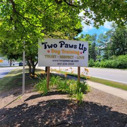 Two Paws Up Dog Training