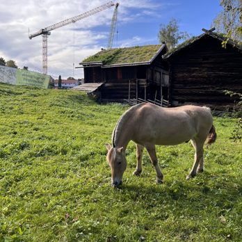 Norsk folkemuseum - Museums Near Me - Oslo, 03