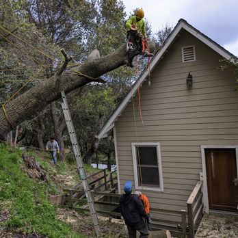Bravo's Landscaping Services - Tree Services Near Me Bravo's Landscaping Services - Tree Services Near Me