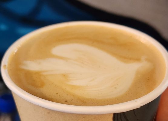 Seven Seas Roasting Co. by null