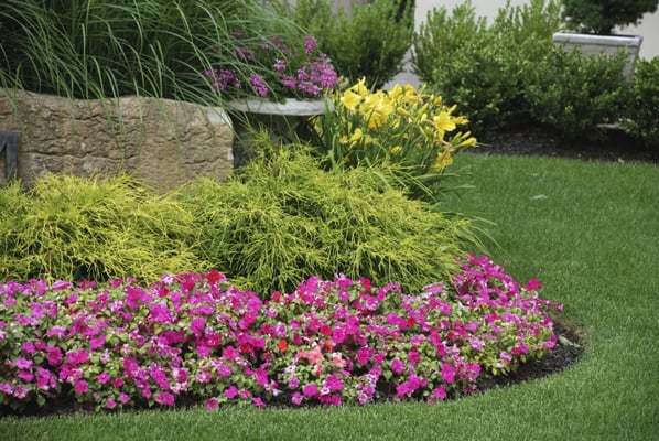 Spring 2024 - These are beautiful flowers located at properties we maintain in Indianapolis. Please contact us to get on our weekly, biweekly or monthly maintenance schedule. Spring 2024 - These are beautiful flowers located at properties we maintain in Indianapolis. Please contact us to get on our weekly, biweekly or monthly maintenance schedule.