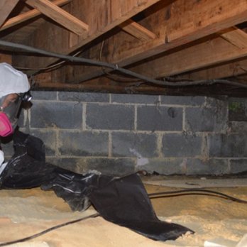 Tampa Bay Mold - Damage Restoration Near Me - Tampa, Florida Tampa Bay Mold - Damage Restoration Near Me - Tampa, Florida