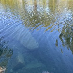 Frio River Cabins - Crystal clear water