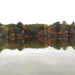 Morses Pond - Morses pond foliage