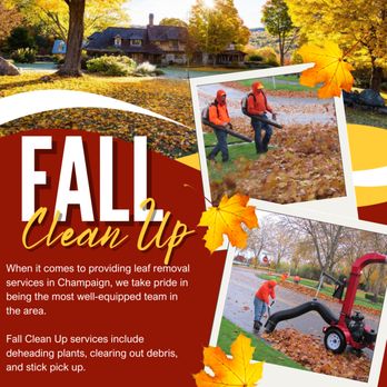 Bud's Tree Care - Buds Tree Care fall clean up Champaign illinois arborist - Tree Services Near Me - Champaign, Illinois