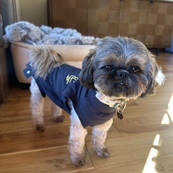 Redmond Veterinary Clinic - Veterinarians Near Me - Redmond, Oregon