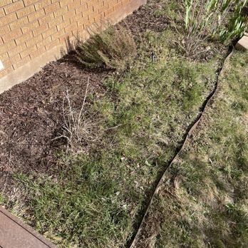 Tuxedo Yard Care - tuxedo in the yard - Landscaping Near Me - South Ogden, Utah Tuxedo Yard Care - tuxedo in the yard - Landscaping Near Me - South Ogden, Utah