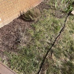 Tuxedo Yard Care