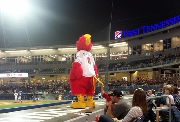 First Horizon Park by null