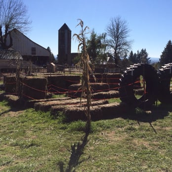 Plumper Farms - Obstacle course. - Pumpkin Patches Near Me - Portland, Oregon