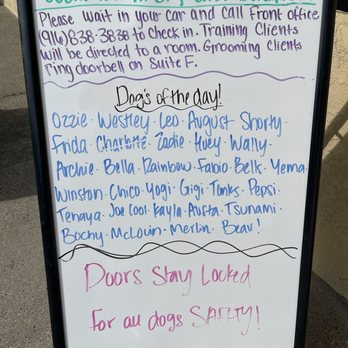 All Stage Canine Development - LOVED the welcome sign!!! This makes us feel happy! - Pet Training Near Me - Citrus Heights, California All Stage Canine Development - LOVED the welcome sign!!! This makes us feel happy! - Pet Training Near Me - Citrus Heights, California