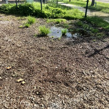 EaDog Park - Partial flooding in the dog area due to the sprinklers nearby that do not shut off - Dog Parks Near Me - Houston, Texas EaDog Park - Partial flooding in the dog area due to the sprinklers nearby that do not shut off - Dog Parks Near Me - Houston, Texas