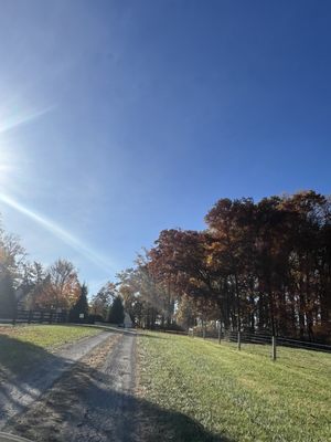 Manor Hill Brewing by null