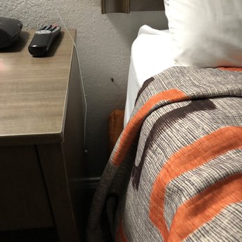 Orangewood Inn & Suites - Roach next to bed. - Hotels Near Me - Austin, Texas Orangewood Inn & Suites - Roach next to bed. - Hotels Near Me - Austin, Texas