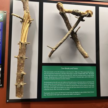 North American Bigfoot Center - On loan this is a special temporary display - Museums Near Me - Boring, Oregon North American Bigfoot Center - On loan this is a special temporary display - Museums Near Me - Boring, Oregon