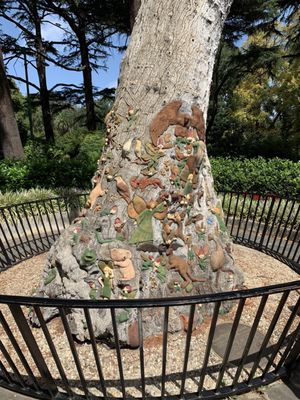 Fitzroy Gardens by null