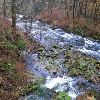 Sweet creek trail - Hiking Near Me - Mapleton, Oregon Sweet creek trail - Hiking Near Me - Mapleton, Oregon