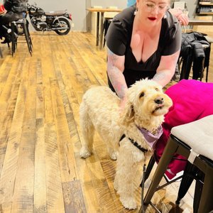 Mark Ryan Winery on Yelp