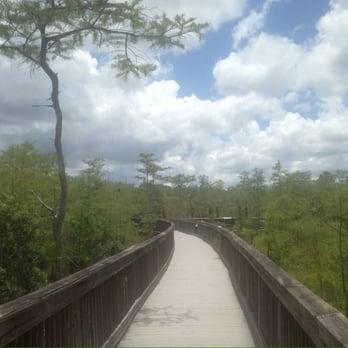 Kirby Storter Roadside Park - Parks Near Me - Ochopee, Florida