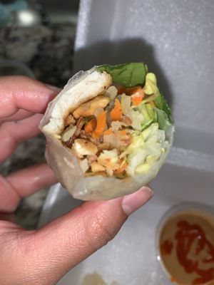 Veggie Garden by null