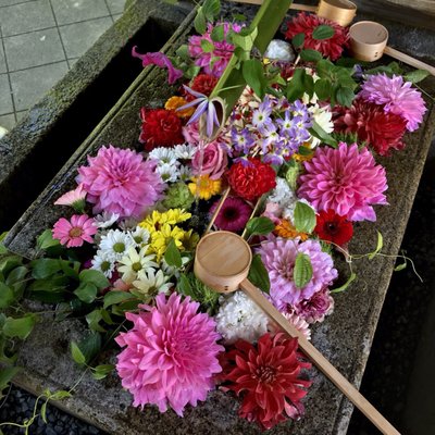 Shōrin-ji Temple by null