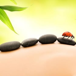 Massage Solution - Replenish