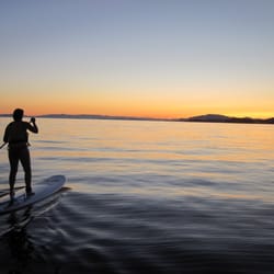 Alpha Adventures - Paddleboarding with Alpha!