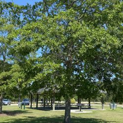 Ogden Park