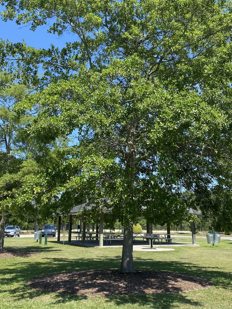Ogden Park Image