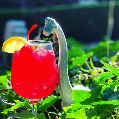 Saint John's Bar and Eatery by null