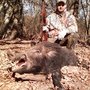 Big Bad Boar Hunts