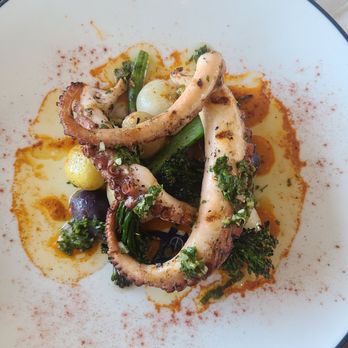 Even Coast - Octopus - Seafood Near Me - Dallas, Texas Even Coast - Octopus - Seafood Near Me - Dallas, Texas